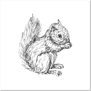 Squirrel #3 Posters and Art